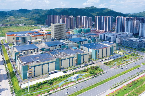 惠州出臺“1+4+N”實施方案，繪制高質量發展施工圖