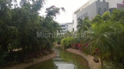 海口生態軟件 驅動海南數字經濟發展的智慧引擎